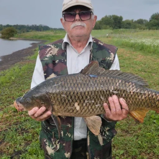 Владимир-7.5