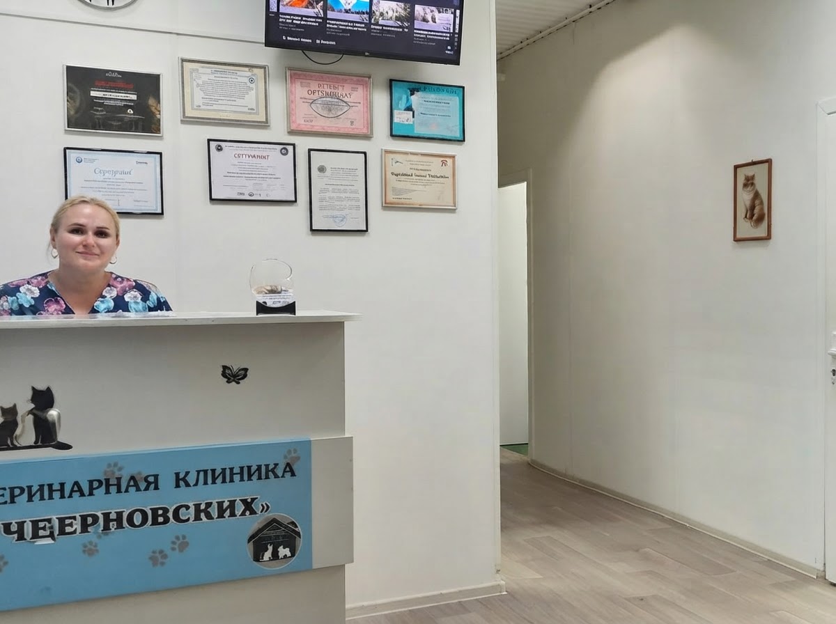 Приём в ветеринарной клинике