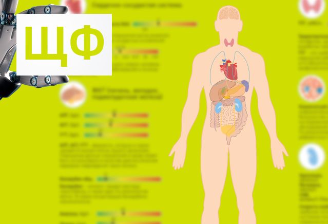 Ферменты нашего организма - щёлочная фосфатаза