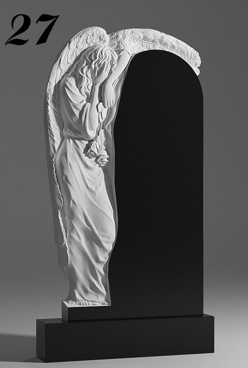 V27