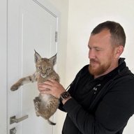Александр Чубаков