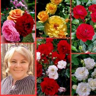 Цветочница Анюта🌹
