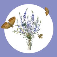 Уроки рисования АРТ ВЕРЕСК