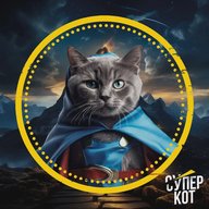 СУПЕРКОТ