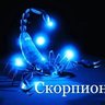Мой знак зодиака Скорпион