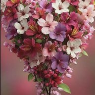 Просто красивые картинки