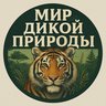 Мир дикой природы