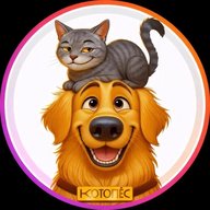 КотоПёс -  кошки и собаки 🐱🐶  | приколы | животные | коты