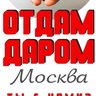 Отдам даром Москва