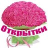 Открытки