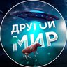 Другой Мир