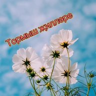 Тормыш җилләре