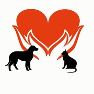 Помощь бездомным животным "ДОБРОЕ СЕРДЦЕ"