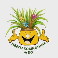 Цветы комнатные & Ко