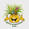 Цветы комнатные & Ко