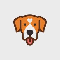 Собаки 🐶