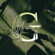 Проект-G | Озеленение интерьеров