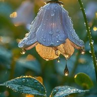 Капелька нежности