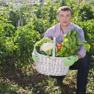 О Фазенде. Загородная жизнь