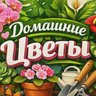 Домашние цветы | Комнатные растения
