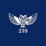 Президентский ФМЛ №239