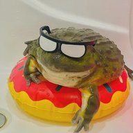 любим лягушек и жабок | лягушки | жабы | животные