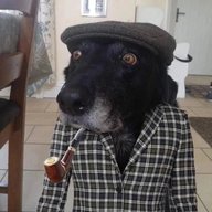скачать