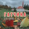 Гатчина
