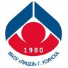 МАОУ "Лицей" г. Усинска