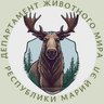 Департамент животного мира Республики Марий Эл