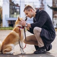 Собаки Все Породы Чаты