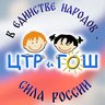 МБУ ДО «ЦТРиГОШ»