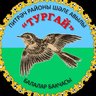 МБДОУ Шалинский детский сад "Тургай"