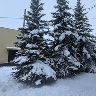 МБОУ "Лешев-Тамакская ООШ"