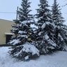 МБОУ "Лешев-Тамакская ООШ"