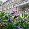Средняя школа№5 города Бугульма Республики Татарстан