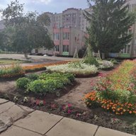 Прогимназия №64