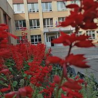 МБОУ "СОШ №32 с уиоп" г.Набережные Челны