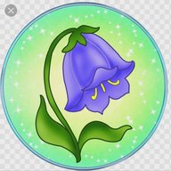 Муниципальное бюджетное дошкольное образовательное учреждение "Детский сад присмотра и оздоровления № 22 "Колокольчик"