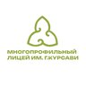 МБОУ "Многопрофильный лицей им. Г. Курсави" Арского МР РТ