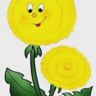 МБДОУ ЦРР детский сад №4