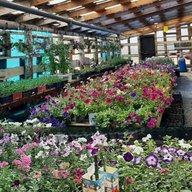 Славгородская Теплица ООО Бригады