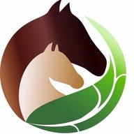 Мясо конина 🥩|Холм