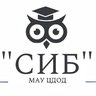 МАУ ЦДОД "СИБ"