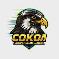 МАУ ДО СШ "Сокол"