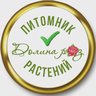 Жизнь питомника "Долина роз"
