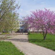 МБОУ-СОШ №12 ст.Новониколаевской