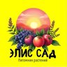 Элис Сад Питомник растений
