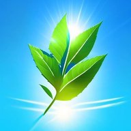 Цветы Рассада