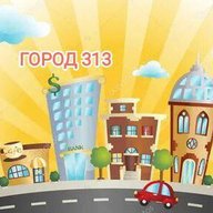 МАДОУ № 313 (Город 313)